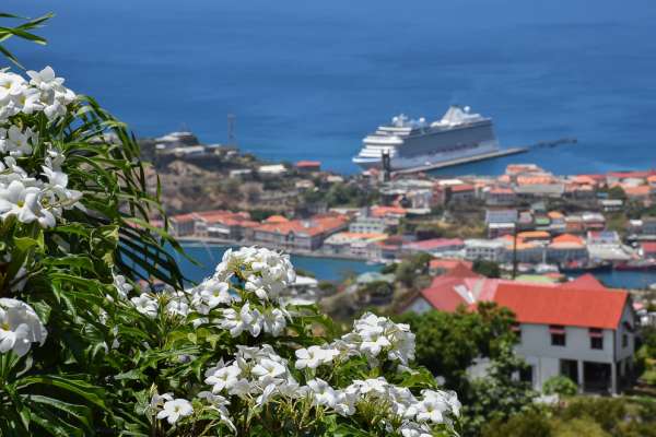 Grenada, St George's port