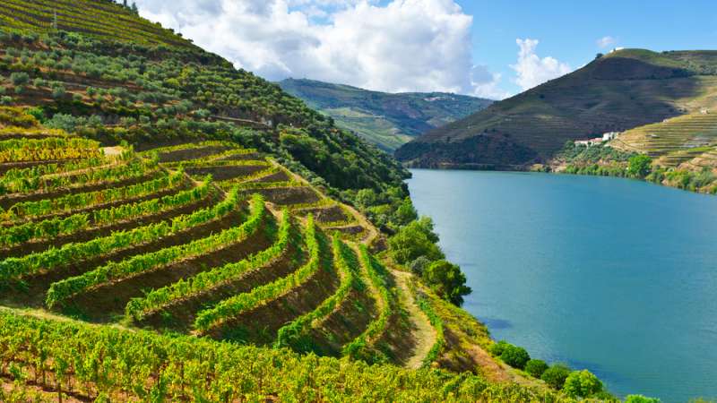 The Douro, Portugal, Viking, river cruise, cruise