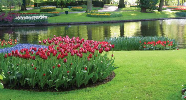 Keukenhof