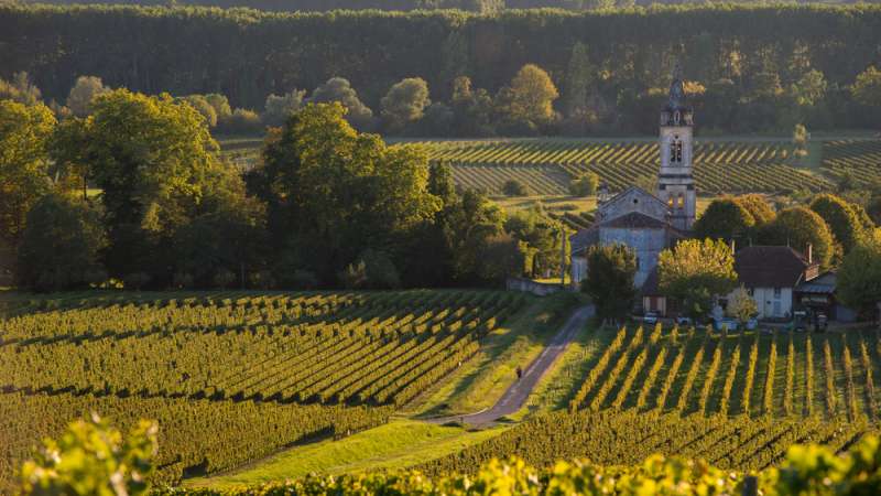 Sauternes