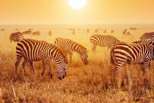 south africa