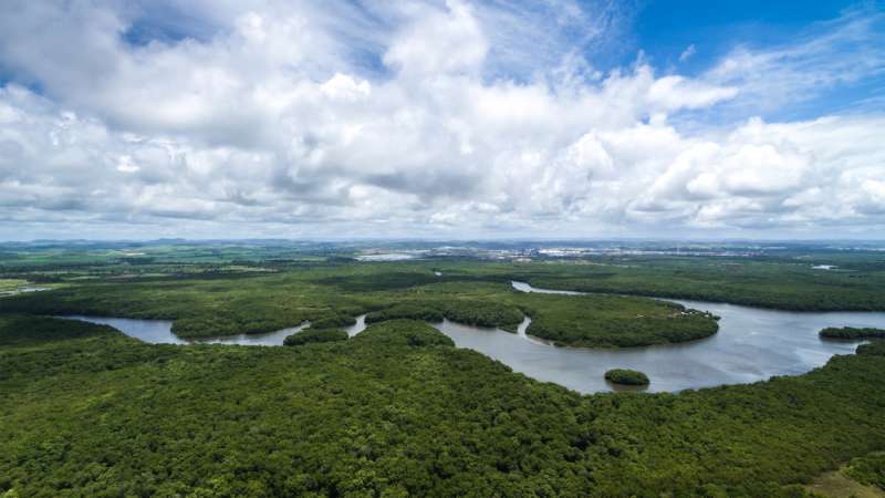 Amazon river