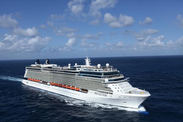 Celebrity Reflection