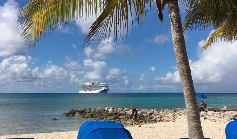 Caribbean, Princess Cruises, tropical, parrots, Jamaica, Tony Roberts
