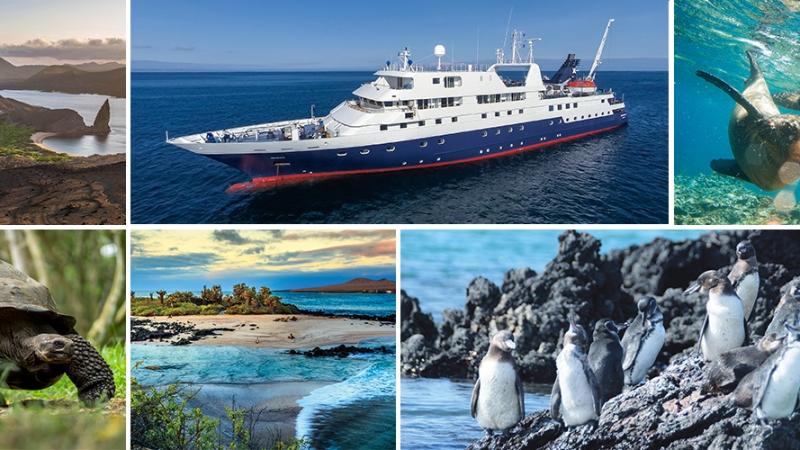 Celebrity Cruises, Celebrity Xpedition, cruise, cruise ship, cruising, Galápagos Islands,