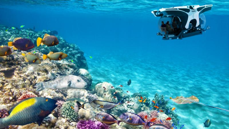 Scenic Eclipse, Scenic Neptune, Scenic, cruise, cruising, cruise industry, exploration