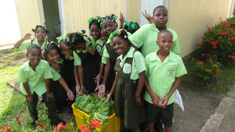 Fred Olsen, cruise, cruising, St Lucia, Caribbean, shore excursions,
