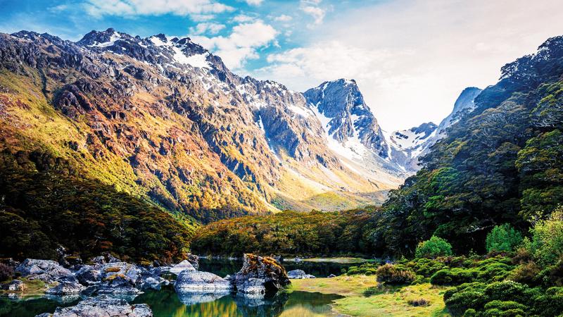 Australia and New Zealand: Destination focus