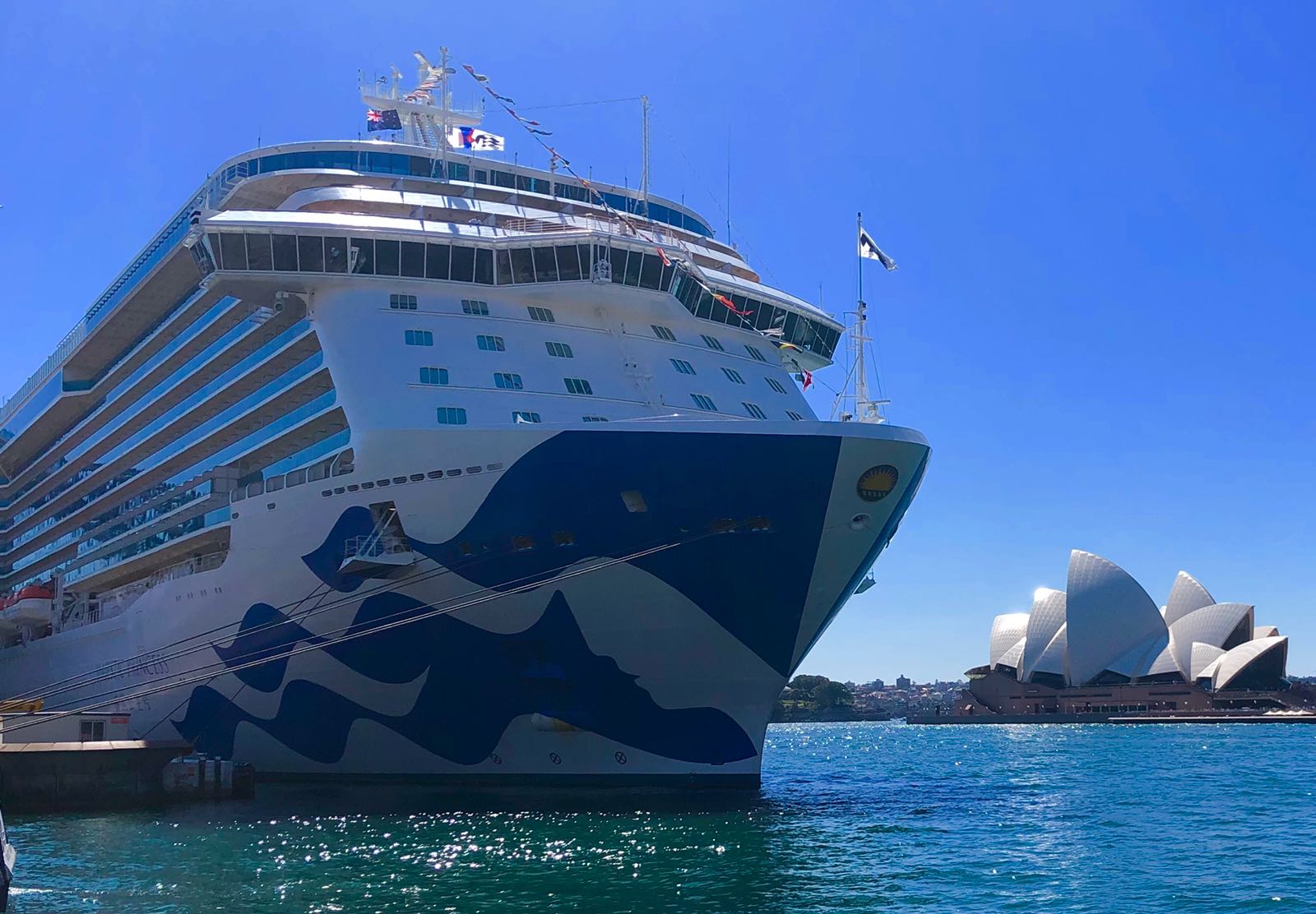princess cruises australia head office