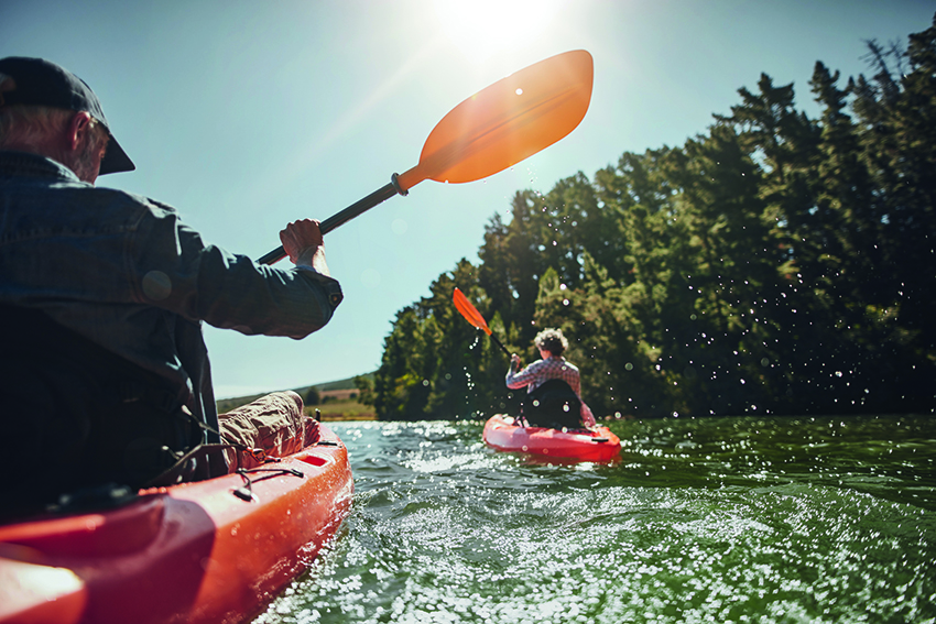 Kayaking, Avalon Active & Discovery, river cruise