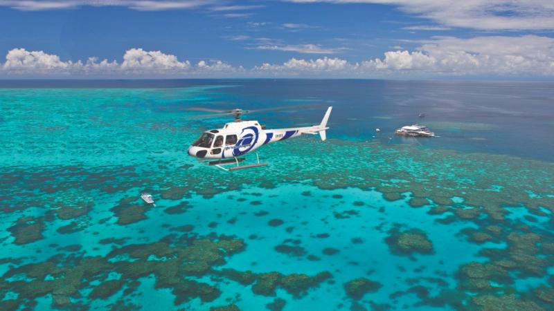 Scenic, cruise, cruising, offer, tours