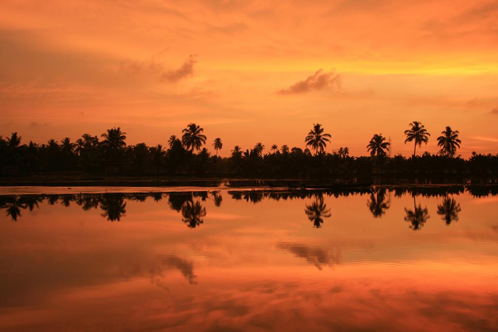 Kerala backwaters, cruise