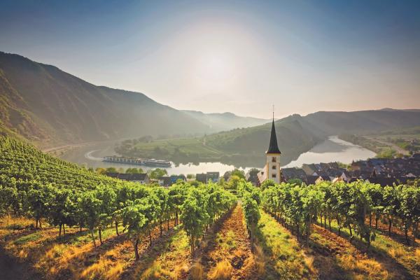 Scenic Japer, Moselle Valley