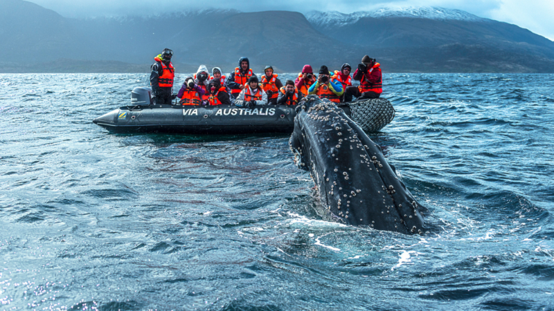 Expedition Cruise Network