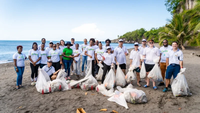 Cunard beach clean