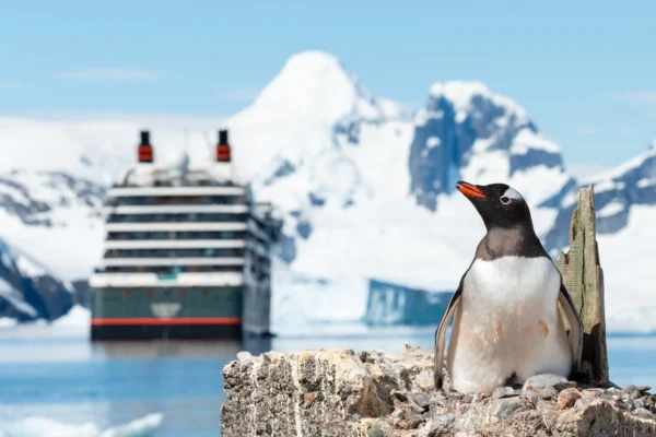 Cruise survey