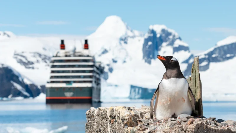 Cruise survey
