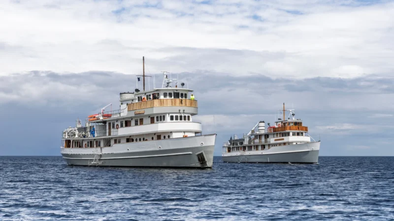 The Boat Company, Panache Cruises