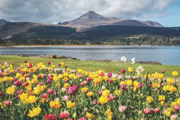 Scottish Isles