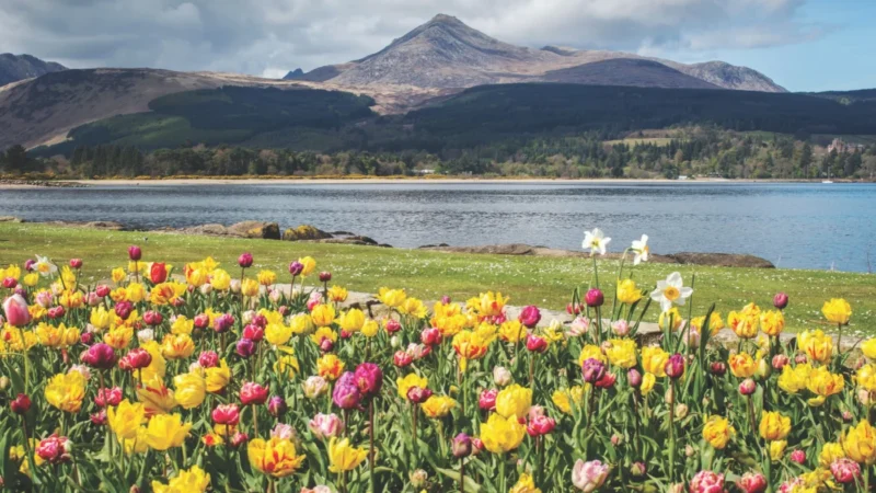 Scottish Isles