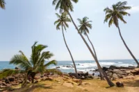 Jamaica - Caribbean