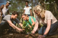 Environmentally Friendly Cruises