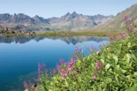 Lake near Petra Bay - Kamchatka