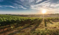 Ever-popular Tuscany exudes rural charm