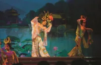 Traditional theatre show