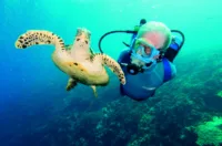 Jean-Michel Cousteau (Photo Credit - Carrie Vonderhaar2c Ocean Futures Society)