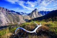 Baffin Island