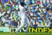 CMV cricket