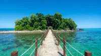 borneo