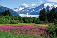 alaska