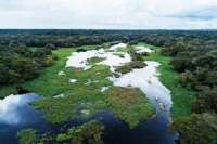 Aerial-view-of-kayaking_Jungle_Manaus_Amazon