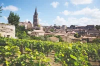 Bordeaux wine region