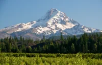 mount-hood