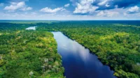 amazon-river