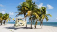 usa cruises cruises