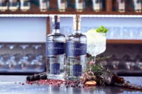 Iona gin 2