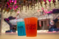 harmony of the seas bionic bar