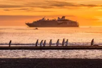 Sister20ships20Manchots20royaux20Golden20Hour20St20Andrews20Georgie20du20Sud©Studio20Ponant20Olivier20Blaud