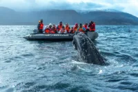 Expedition