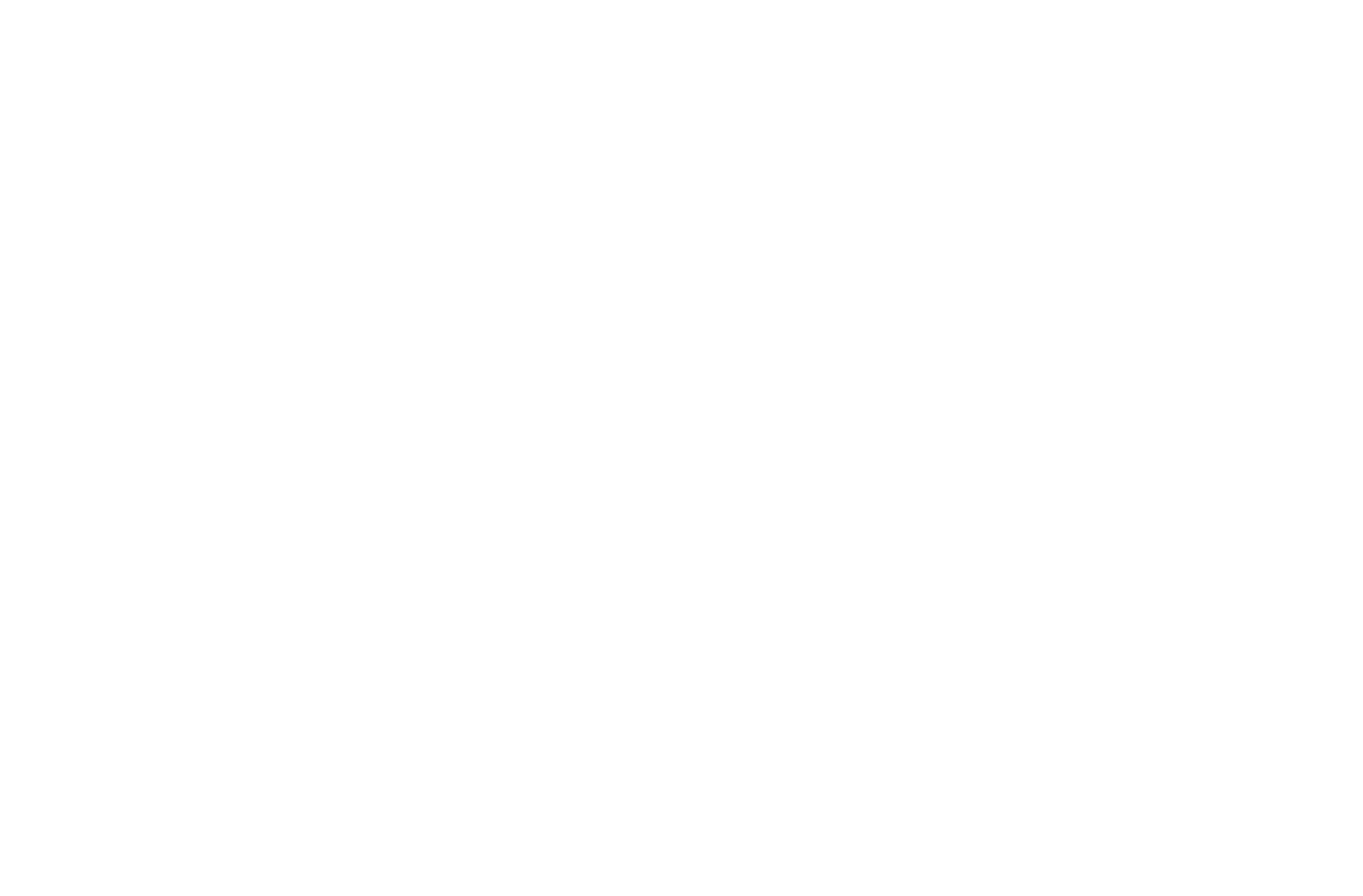 Princess Logo